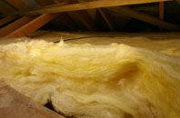 Acton pitch roof insulation